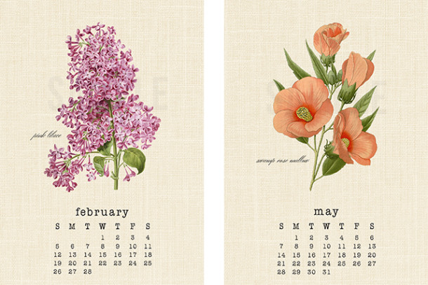 kalendarz botaniczny 2017